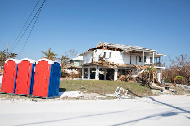 Professional Tree Removal in Surprise, AZ